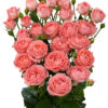 Femke